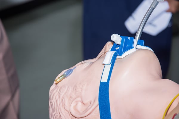 Airway Anatomy and Endotracheal Intubation The Basics