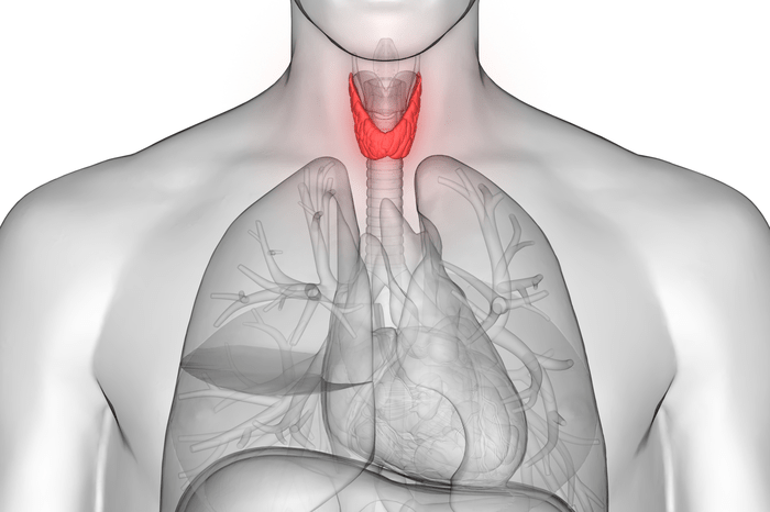 Managing Tracheal Trauma