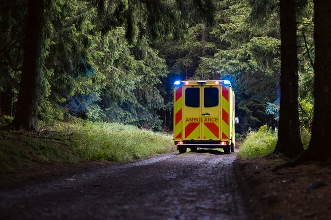 yellow-ambulance-driving-down-a-wooded-forest-road-sm
